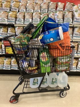 Grocery cart